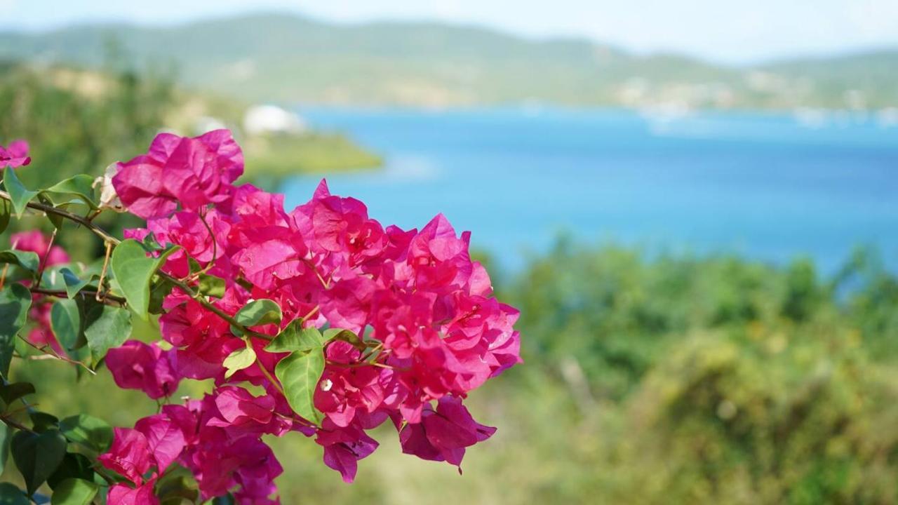 Coqui Beach Home, Culebra 쿨레브라 외부 사진