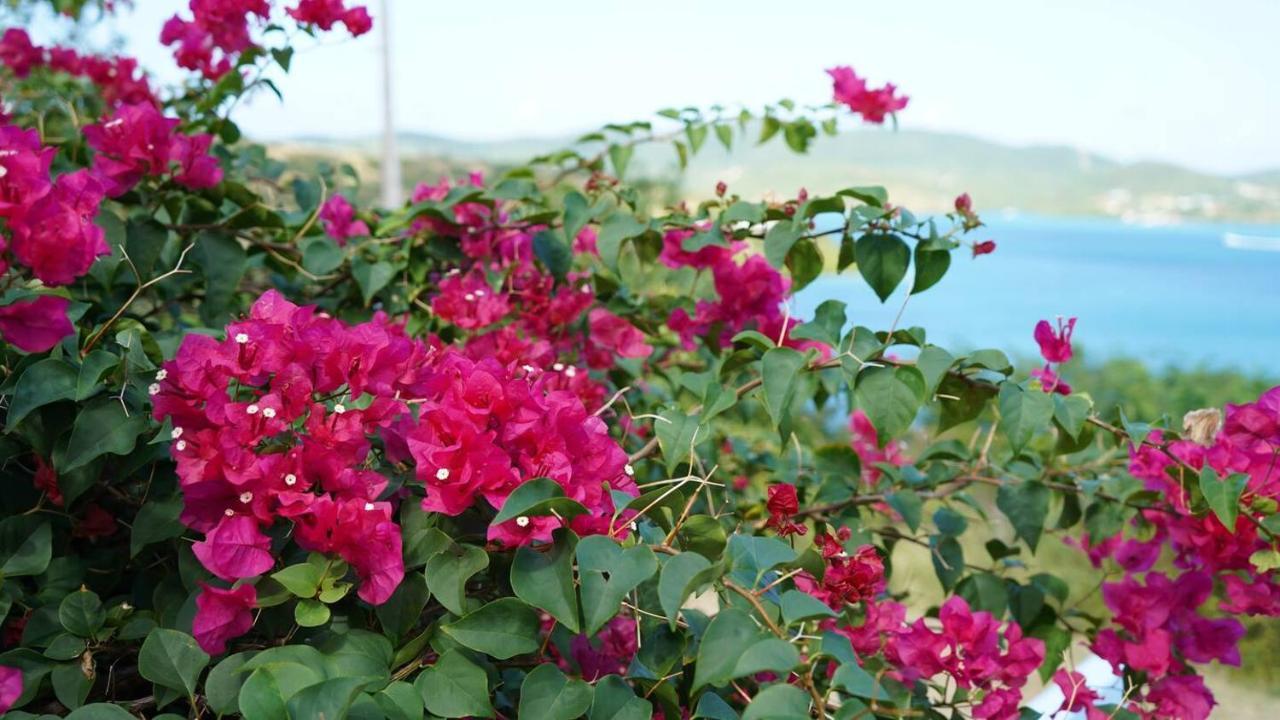 Coqui Beach Home, Culebra 쿨레브라 외부 사진