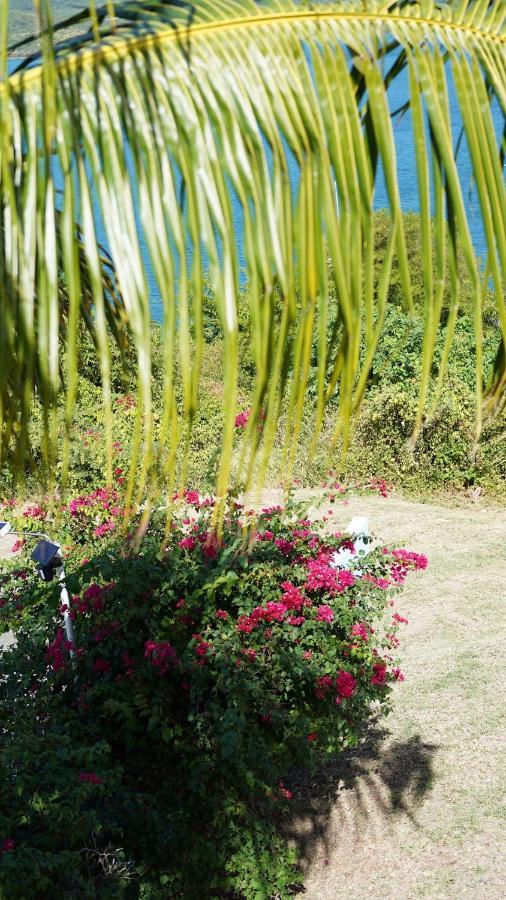 Coqui Beach Home, Culebra 쿨레브라 외부 사진