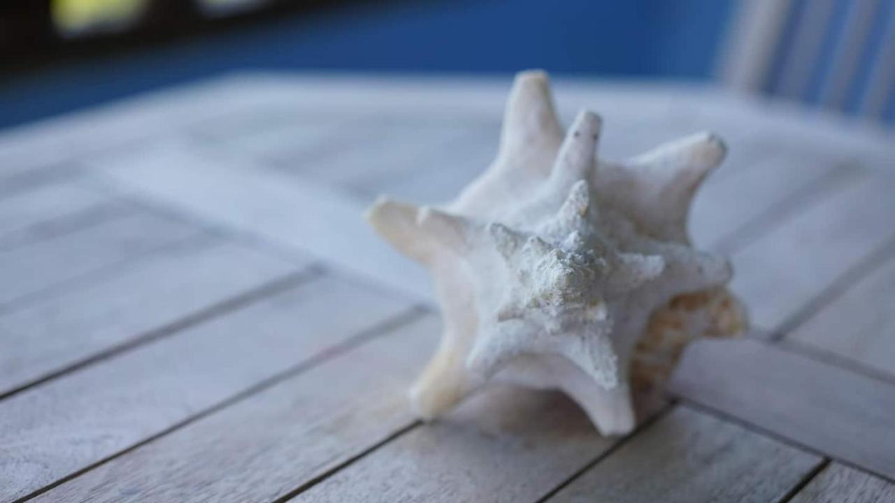 Coqui Beach Home, Culebra 쿨레브라 외부 사진